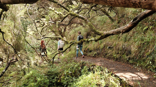 Embrace Sustainable Fashion!